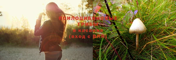 мет Няндома