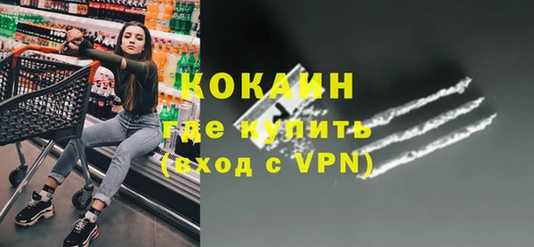 дживик Белокуриха