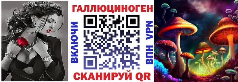 купить   Колпашево  Галлюциногенные грибы Magic Shrooms 